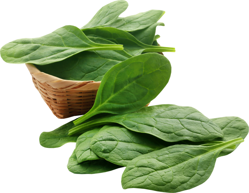 Fresh Spinach