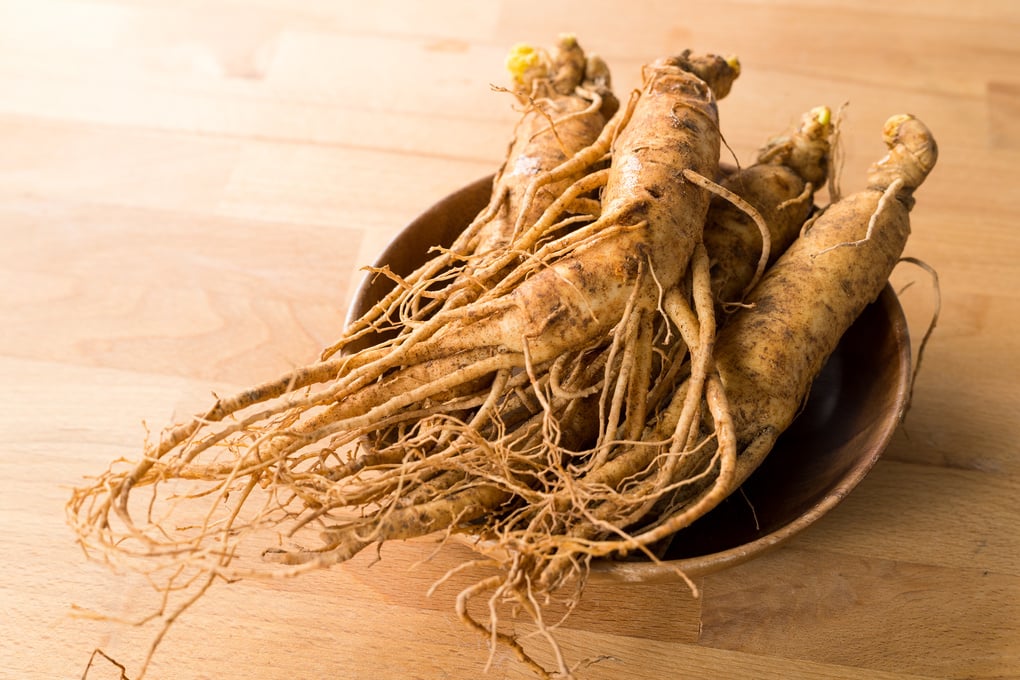 Korean Ginseng