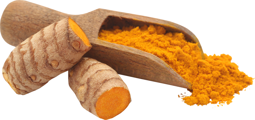 Raw Turmeric with Powder in a Wooden Scoop Cutout