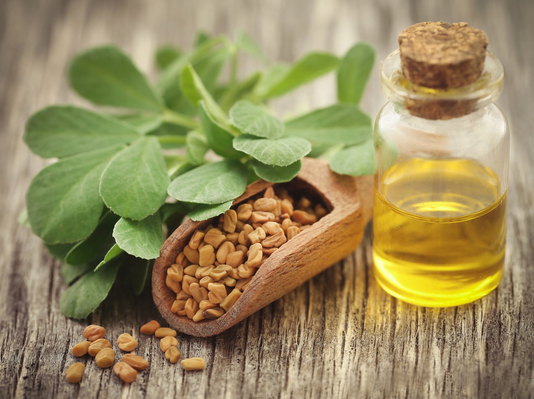 Fenugreek Seeds with Oil in Bottle