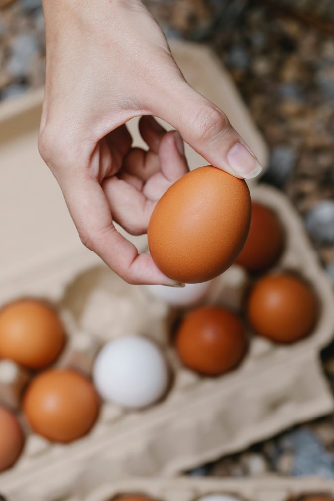 Woman showing fresh egg in hand above container with eggs