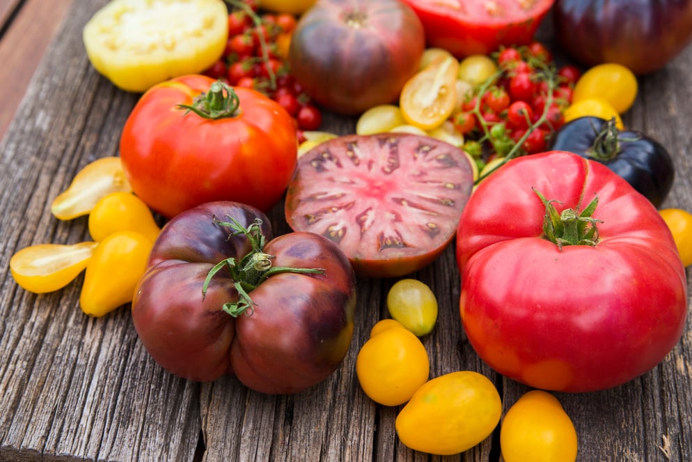 Heirloom tomatoes