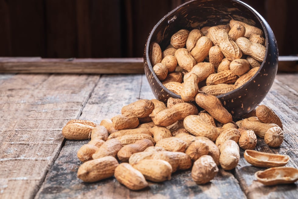 Peanuts in a Coconut Bowl