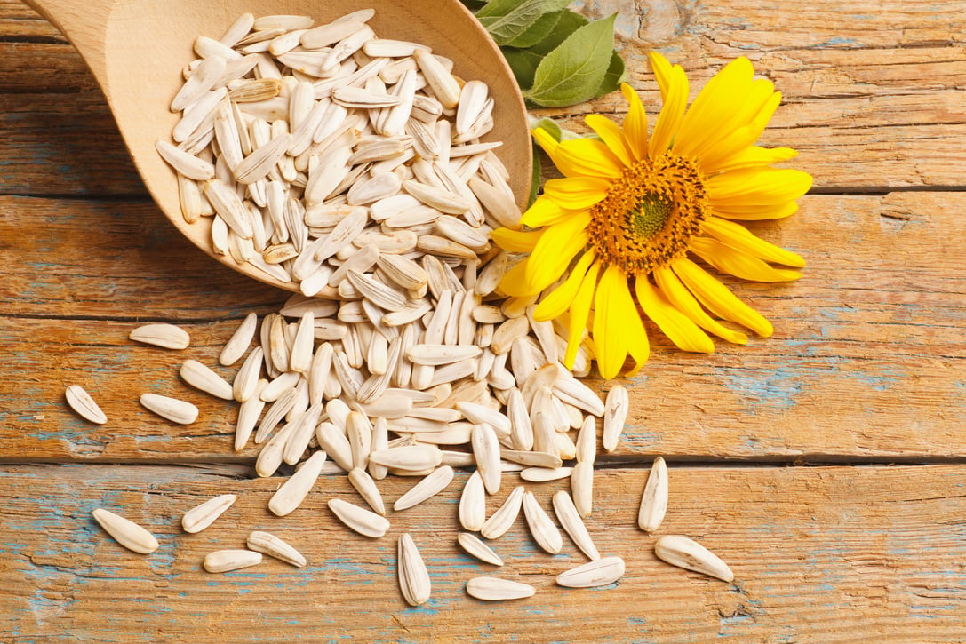 Sunflower Seeds