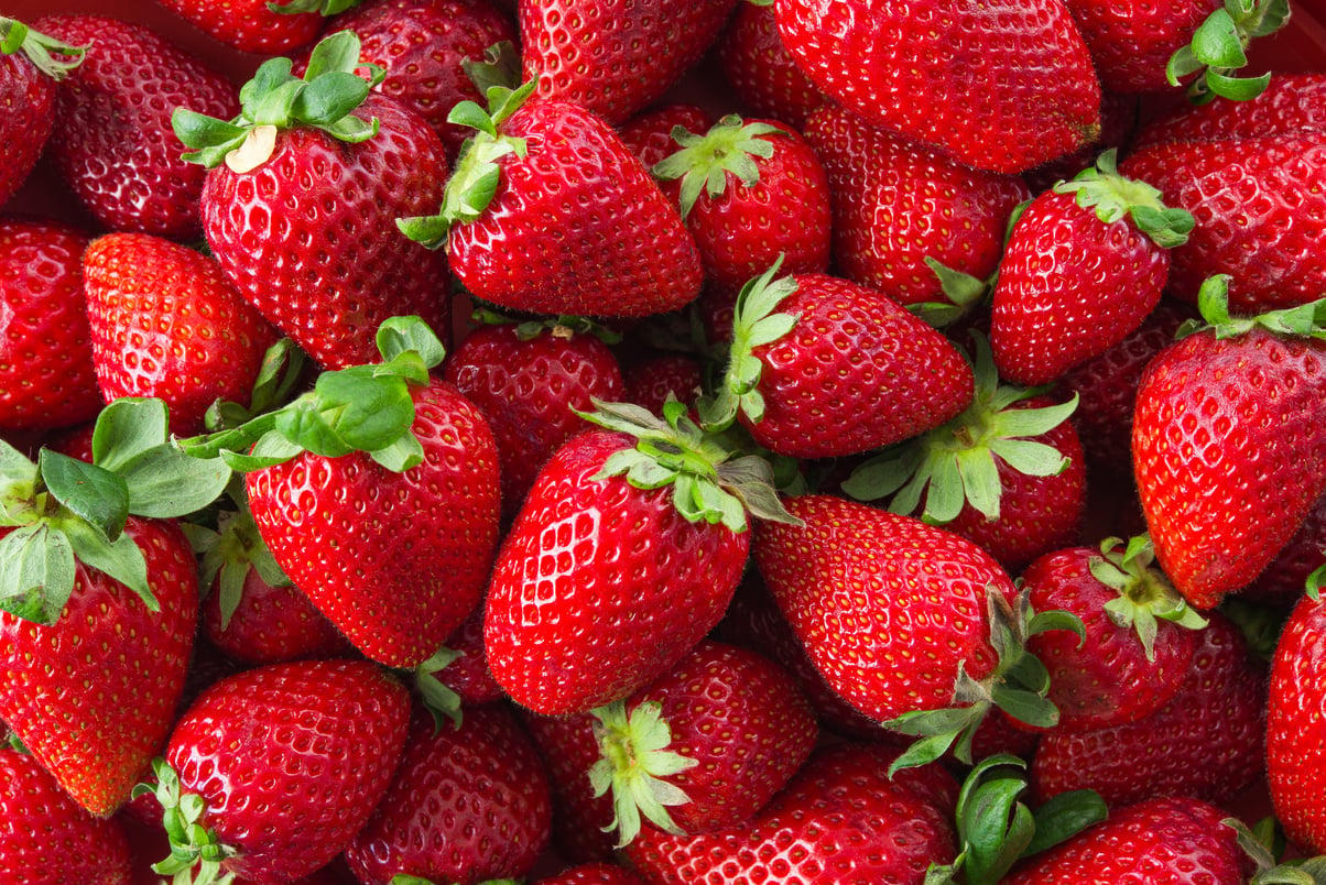 Fresh organic strawberries