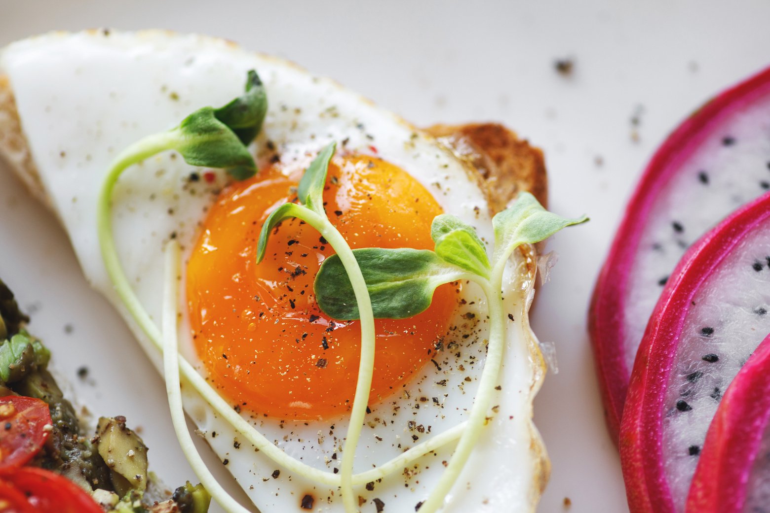 Toast with Fried Egg for Breakfast