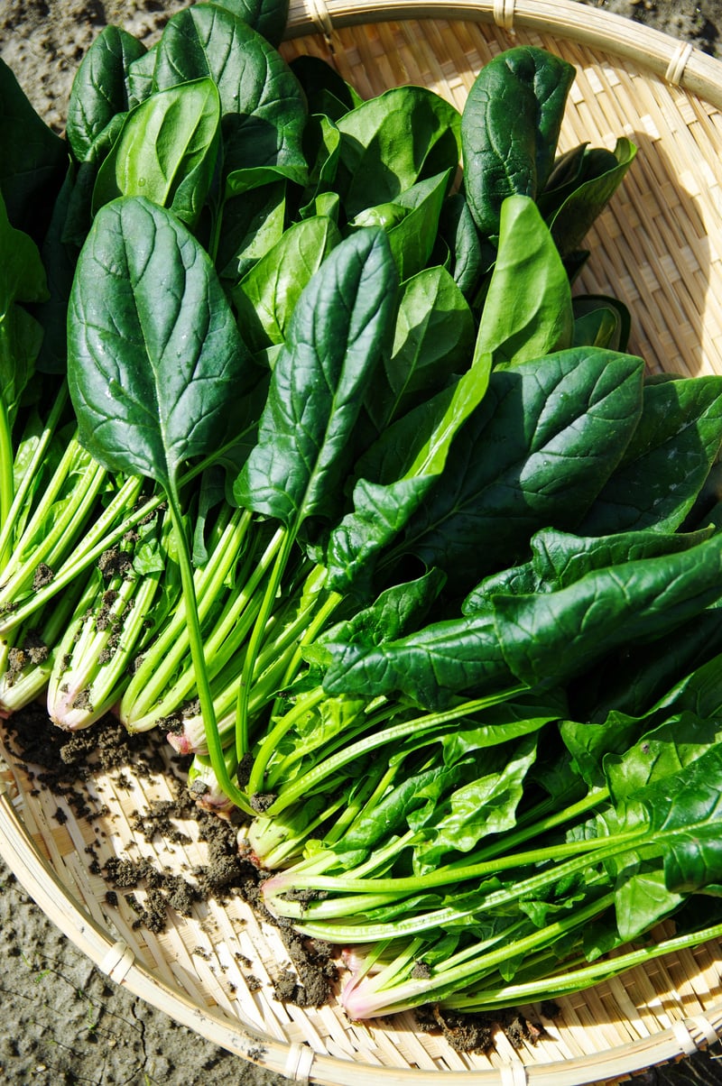 Spinach on a Flat Basket