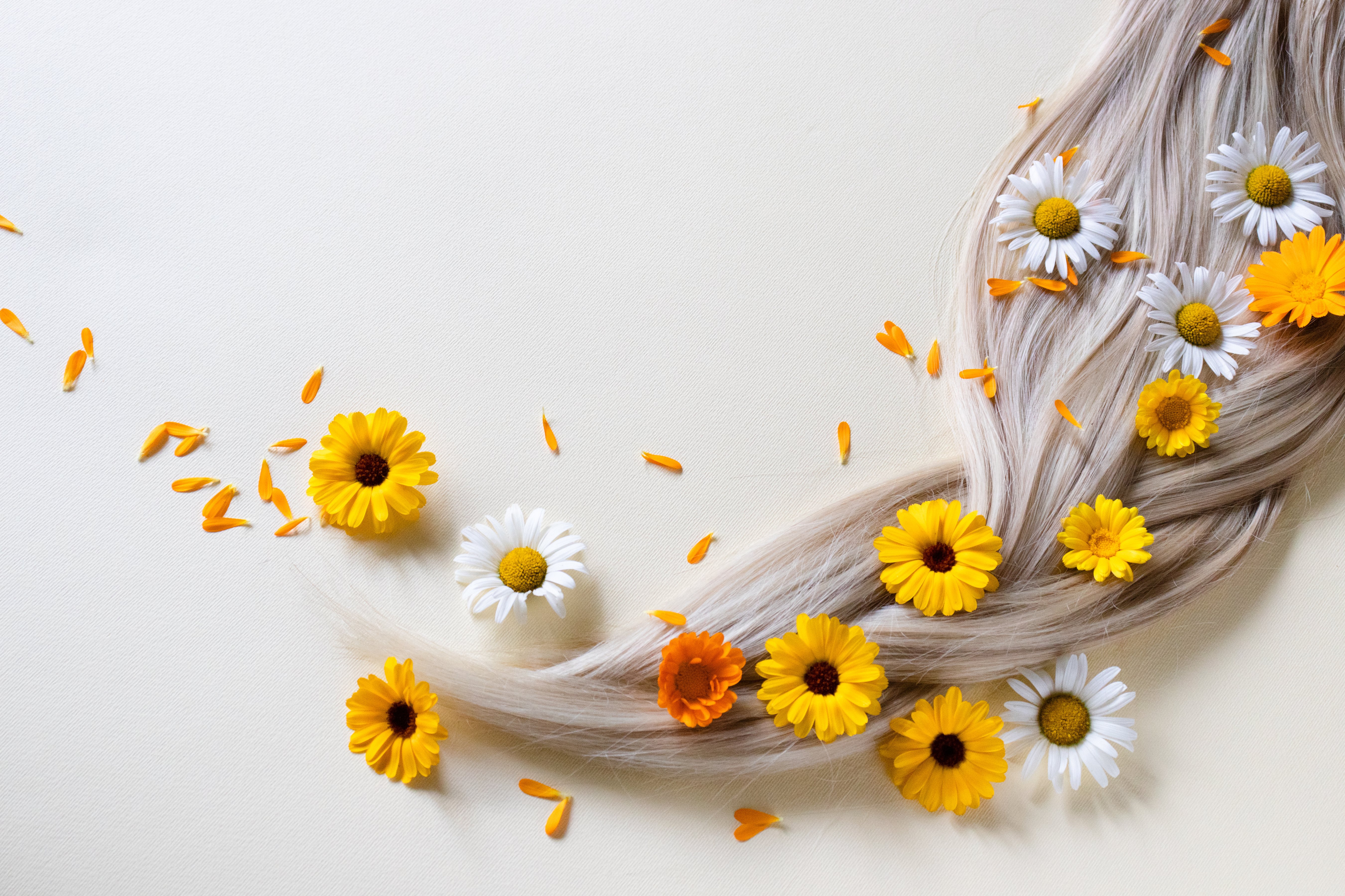 Chamomile and Calendula Flowers in Blond Hair