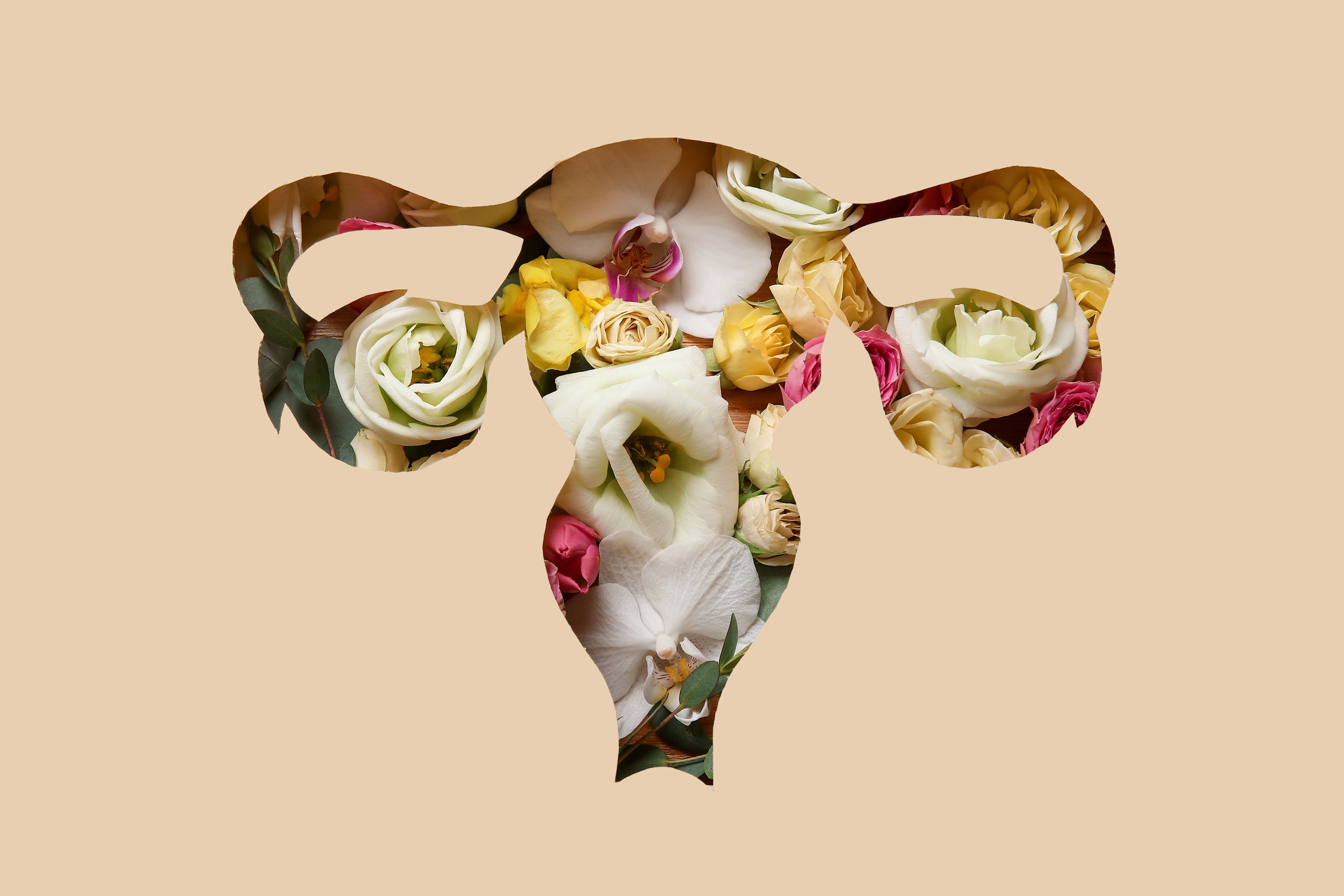 Uterus Made of Paper and Beautiful Flowers on Beige Background