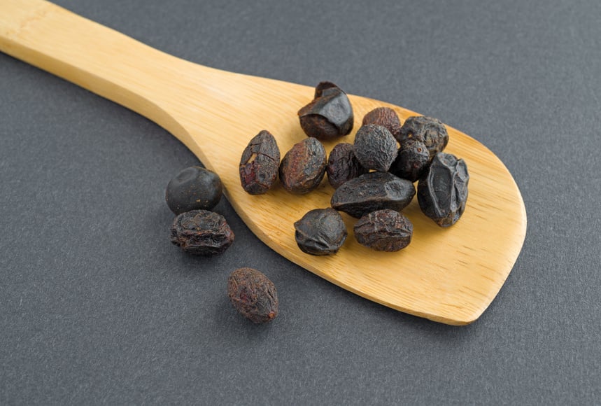 Wood spoon filed with saw palmetto berries